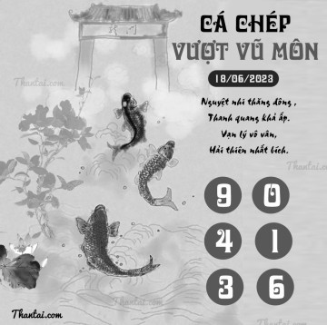 CÁ CHÉP VƯỢT VŨ MÔN 18/06/2023