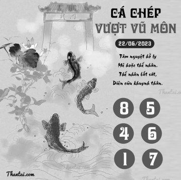 CÁ CHÉP VƯỢT VŨ MÔN 22/06/2023