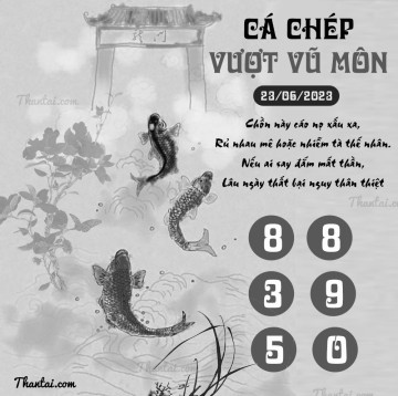 CÁ CHÉP VƯỢT VŨ MÔN 23/06/2023