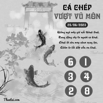 CÁ CHÉP VƯỢT VŨ MÔN 25/06/2023