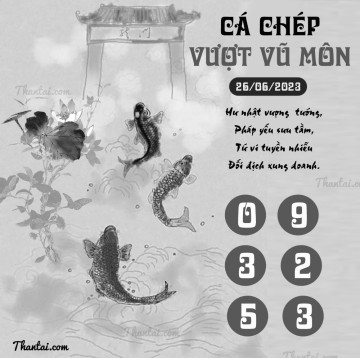 CÁ CHÉP VƯỢT VŨ MÔN 26/06/2023