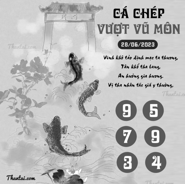 CÁ CHÉP VƯỢT VŨ MÔN 13/06/2023