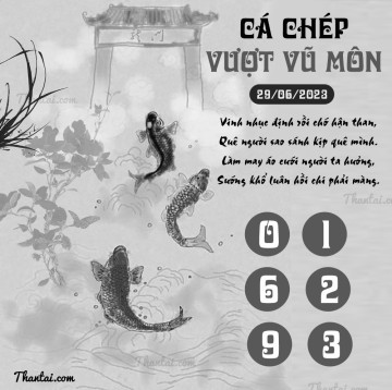 CÁ CHÉP VƯỢT VŨ MÔN 29/06/2023