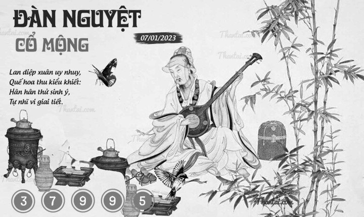 ĐÀN NGUYỆT CỔ MỘNG 01/01/2023