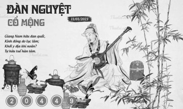 ĐÀN NGUYỆT CỔ MỘNG 11/01/2023