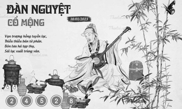 ĐÀN NGUYỆT CỔ MỘNG 03/01/2023