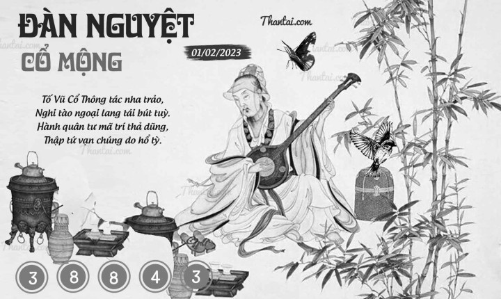 ĐÀN NGUYỆT CỔ MỘNG 17/01/2023