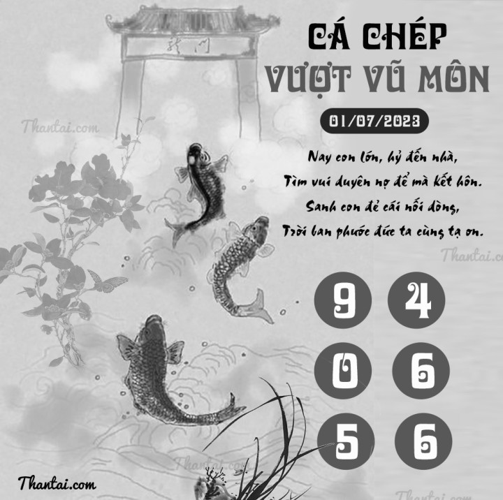 CÁ CHÉP VƯỢT VŨ MÔN 16/06/2023