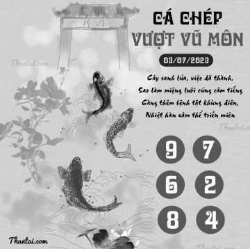 CÁ CHÉP VƯỢT VŨ MÔN 03/07/2023