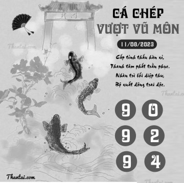 CÁ CHÉP VƯỢT VŨ MÔN 11/08/2023