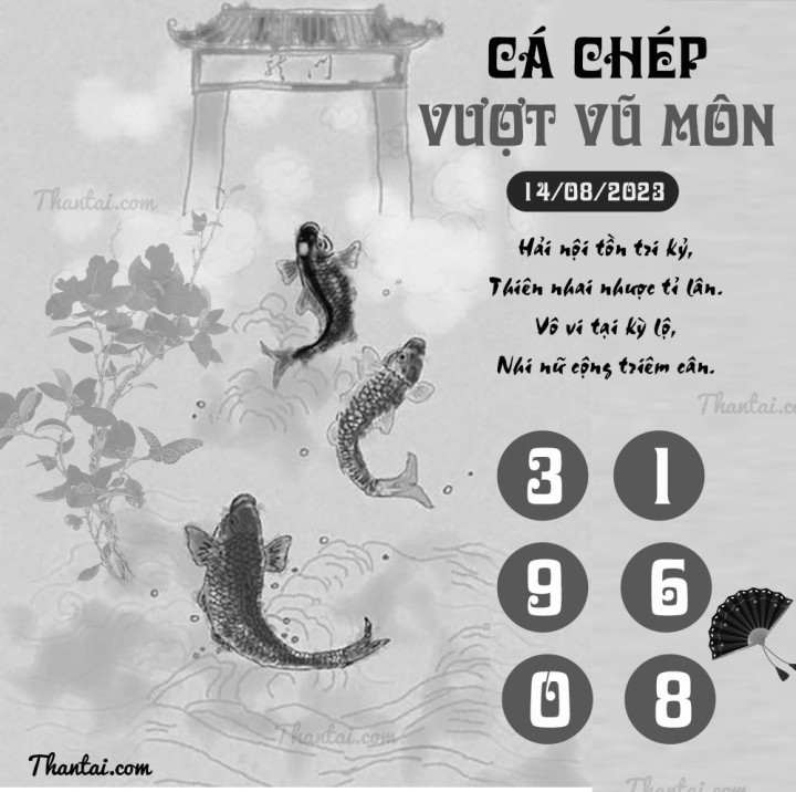 CÁ CHÉP VƯỢT VŨ MÔN 11/08/2023