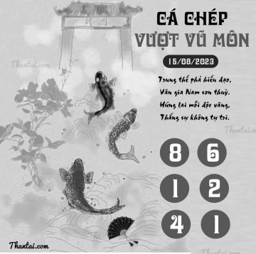 CÁ CHÉP VƯỢT VŨ MÔN 15/08/2023