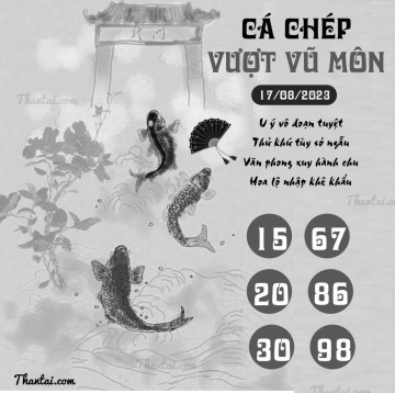 CÁ CHÉP VƯỢT VŨ MÔN 17/08/2023