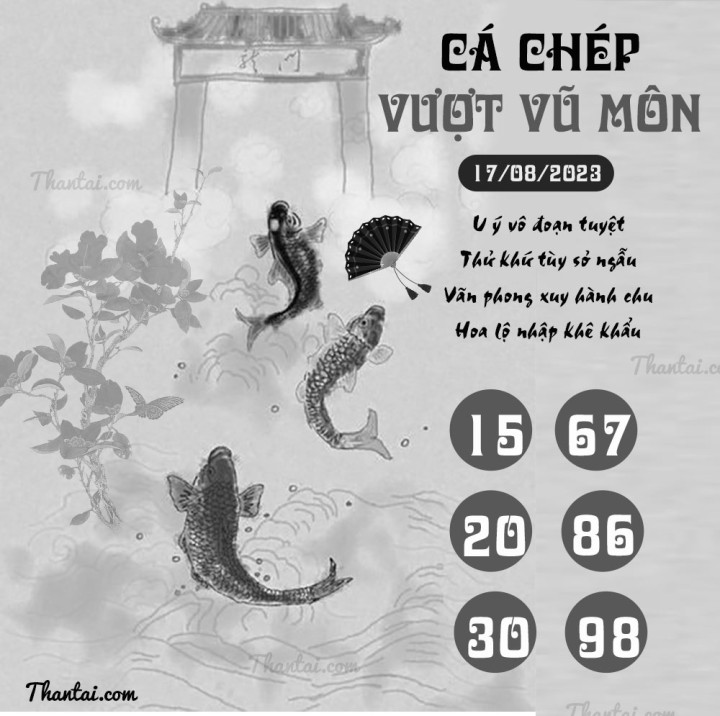 CÁ CHÉP VƯỢT VŨ MÔN 11/08/2023