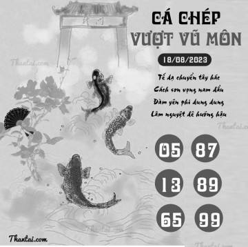 CÁ CHÉP VƯỢT VŨ MÔN 18/08/2023