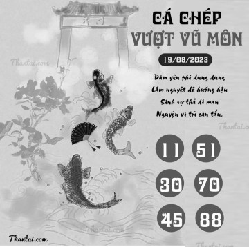 CÁ CHÉP VƯỢT VŨ MÔN 19/08/2023