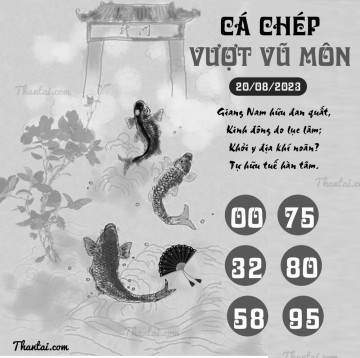 CÁ CHÉP VƯỢT VŨ MÔN 20/08/2023