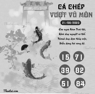 CÁ CHÉP VƯỢT VŨ MÔN 21/08/2023