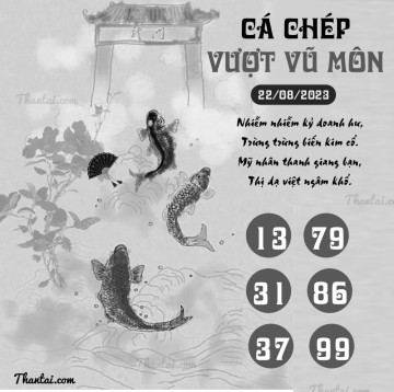 CÁ CHÉP VƯỢT VŨ MÔN 22/08/2023