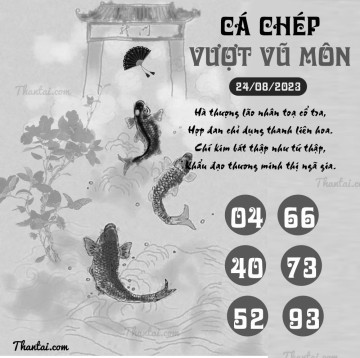 CÁ CHÉP VƯỢT VŨ MÔN 24/08/2023