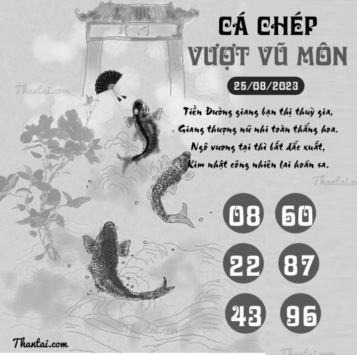 CÁ CHÉP VƯỢT VŨ MÔN 11/08/2023