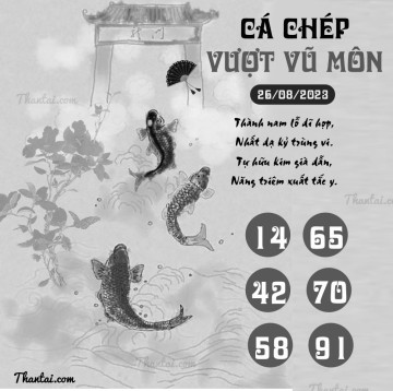 CÁ CHÉP VƯỢT VŨ MÔN 26/08/2023