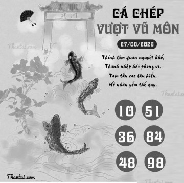 CÁ CHÉP VƯỢT VŨ MÔN 27/08/2023