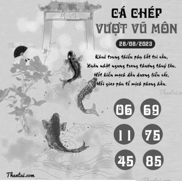 CÁ CHÉP VƯỢT VŨ MÔN 28/08/2023