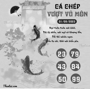 CÁ CHÉP VƯỢT VŨ MÔN 01/09/2023