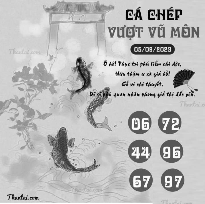 CÁ CHÉP VƯỢT VŨ MÔN 21/08/2023