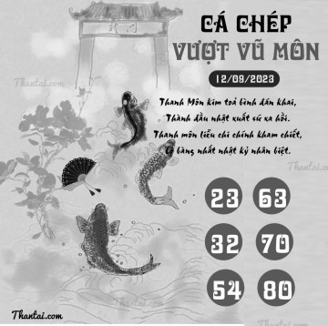 CÁ CHÉP VƯỢT VŨ MÔN 12/09/2023