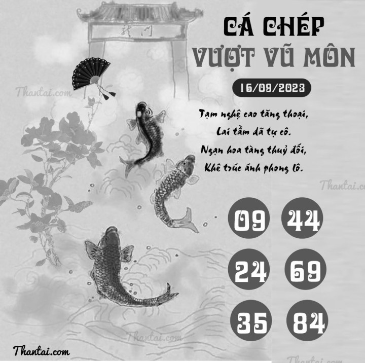 CÁ CHÉP VƯỢT VŨ MÔN 01/09/2023