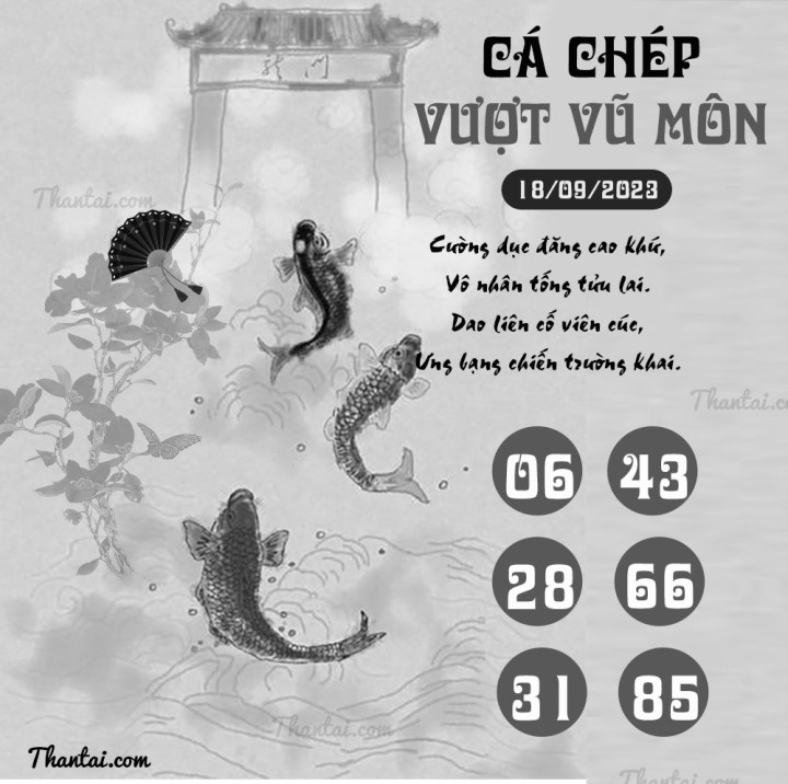 CÁ CHÉP VƯỢT VŨ MÔN 03/09/2023