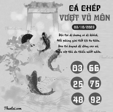 CÁ CHÉP VƯỢT VŨ MÔN 03/10/2023