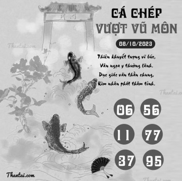 CÁ CHÉP VƯỢT VŨ MÔN 08/10/2023