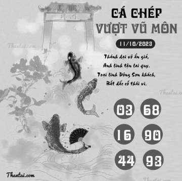 CÁ CHÉP VƯỢT VŨ MÔN 11/10/2023