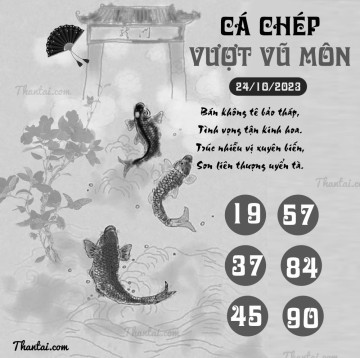 CÁ CHÉP VƯỢT VŨ MÔN 24/10/2023