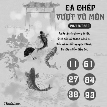 CÁ CHÉP VƯỢT VŨ MÔN 28/10/2023