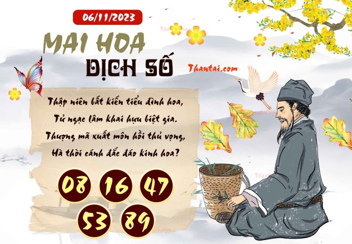 Mai Hoa Dịch Số 22/10/2023