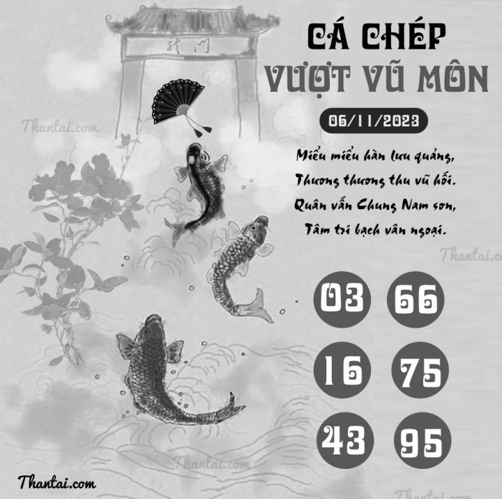 CÁ CHÉP VƯỢT VŨ MÔN 22/10/2023