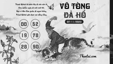 VÕ TÒNG ĐẢ HỔ 07/11/2023