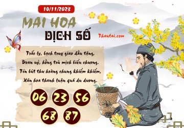 Mai Hoa Dịch Số 10/11/2023