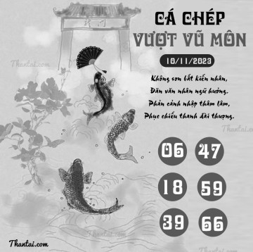 CÁ CHÉP VƯỢT VŨ MÔN 10/11/2023