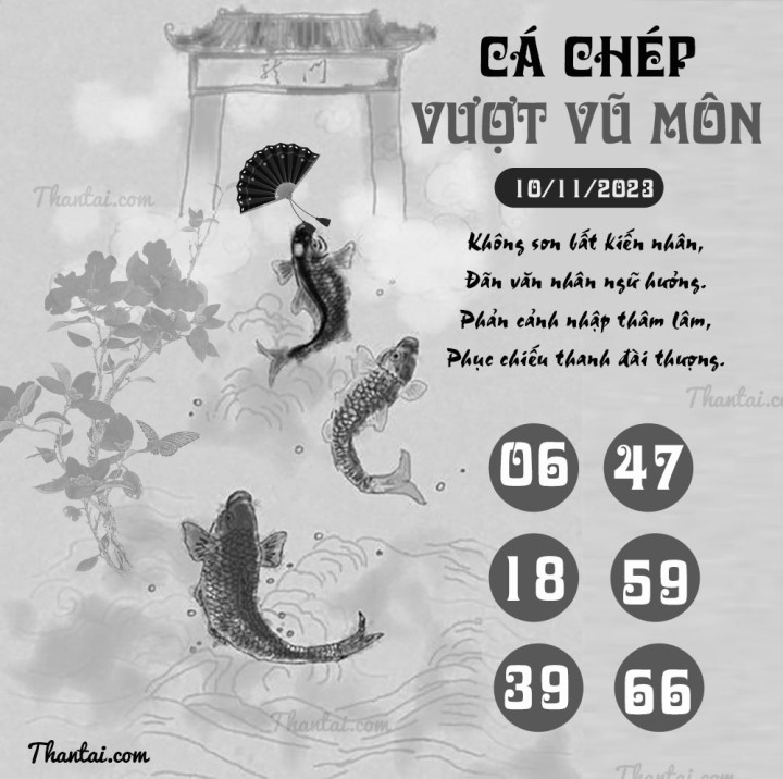 CÁ CHÉP VƯỢT VŨ MÔN 26/10/2023