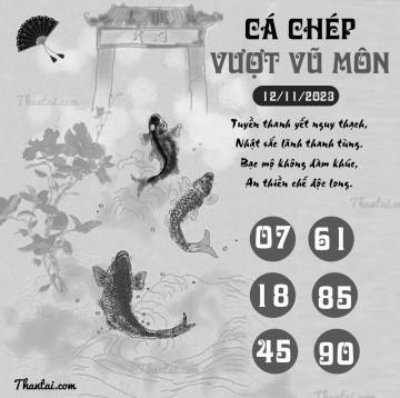 CÁ CHÉP VƯỢT VŨ MÔN 12/11/2023