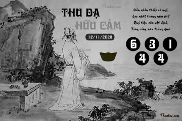 THU DẠ HỮU CẢM 12/11/2023