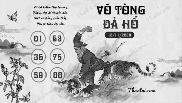 VÕ TÒNG ĐẢ HỔ 12/11/2023