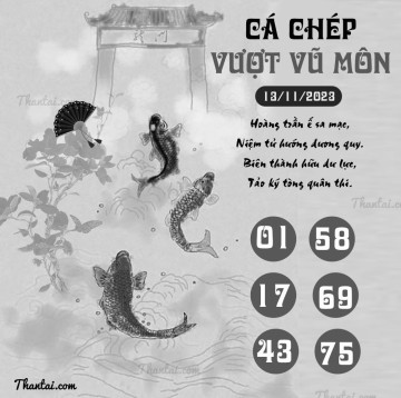 CÁ CHÉP VƯỢT VŨ MÔN 13/11/2023