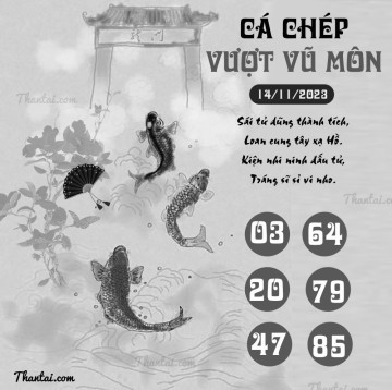 CÁ CHÉP VƯỢT VŨ MÔN 14/11/2023