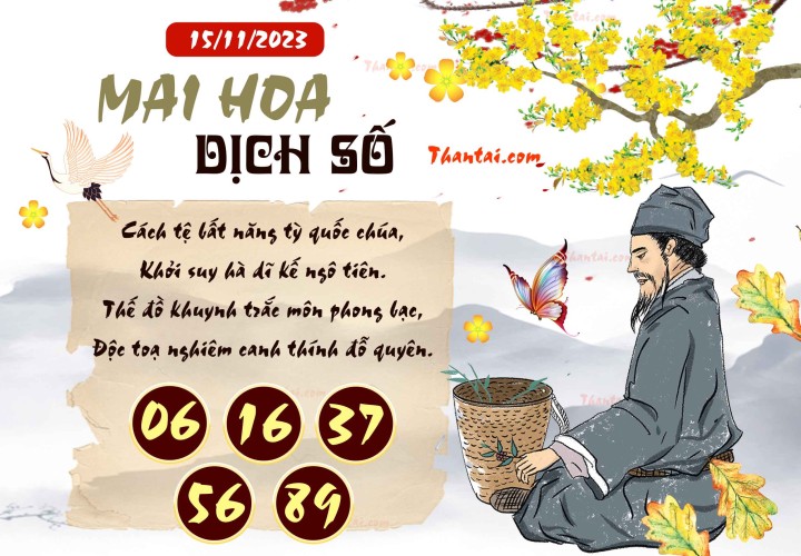 Mai Hoa Dịch Số 31/10/2023